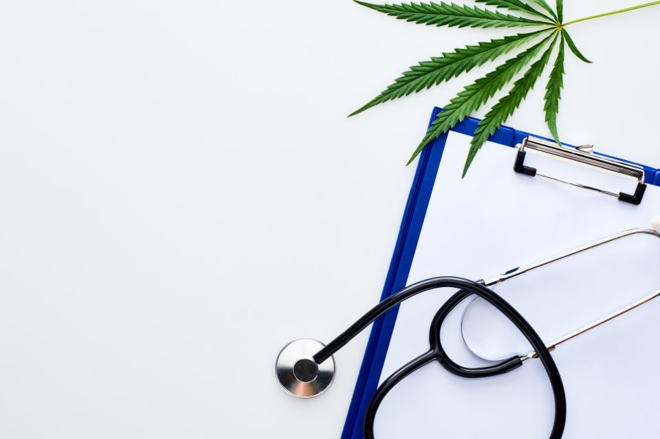 Tina horsted: Skaber overkommelig adgang til medicinsk cannabis i danmark