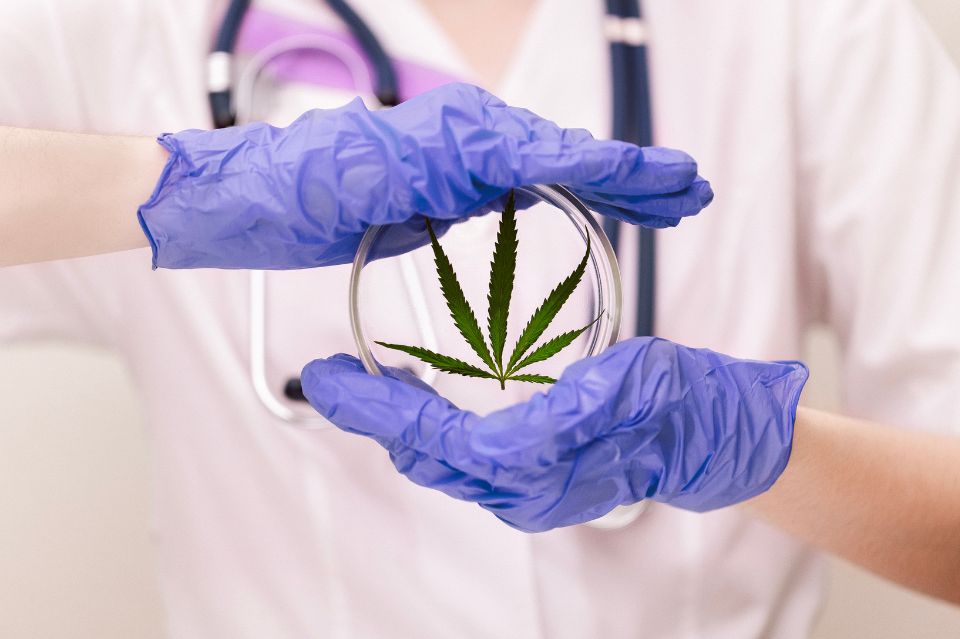 Fra plan til praksis: Cannabisklinikkerne indtager danmark med start i aarhus og aalborg